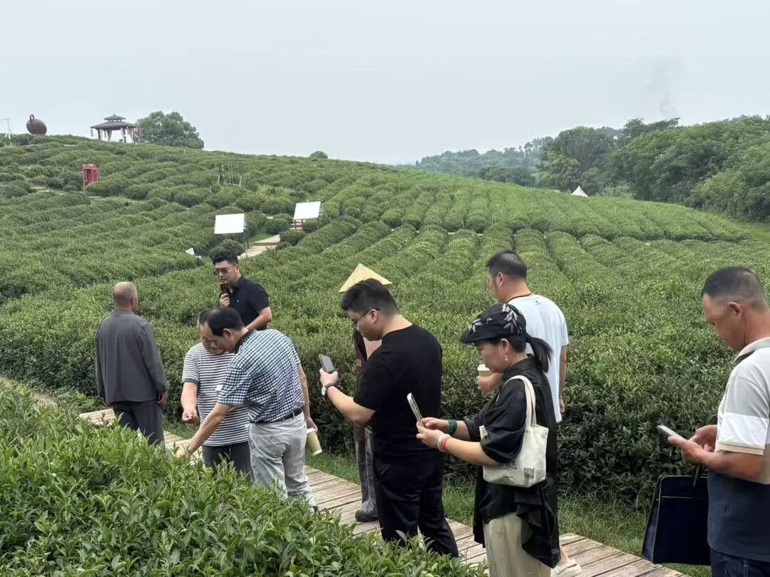 微信图片_20260721161013.jpg
